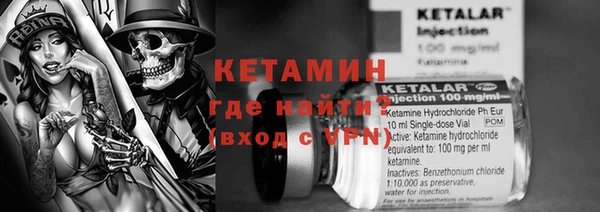 гашик Алексин