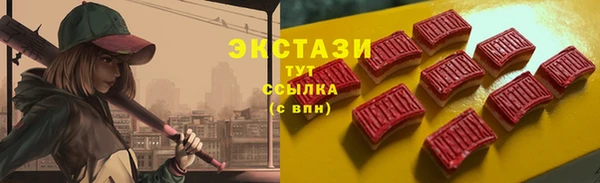 гашик Алексин