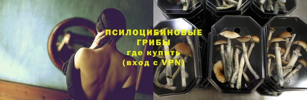 круглые Алексеевка