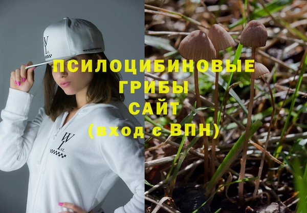 круглые Алексеевка