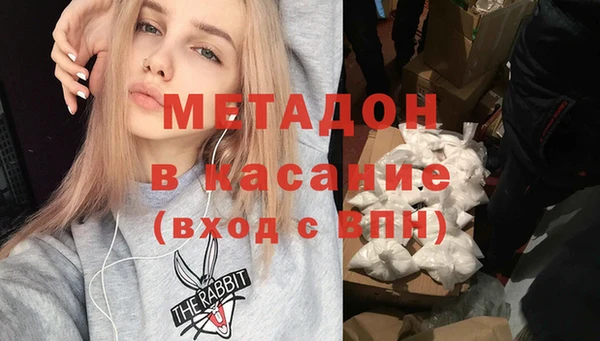 гашик Алексин