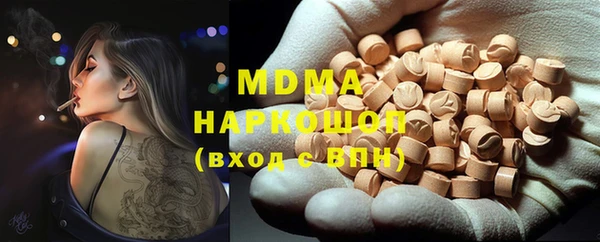 гашик Алексин
