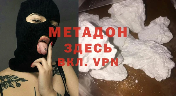 гашик Алексин