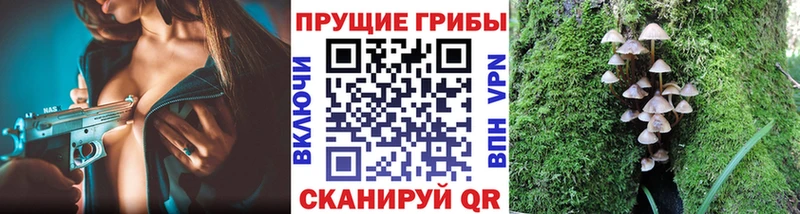Галлюциногенные грибы мицелий  где можно купить наркотик  Большой Камень 