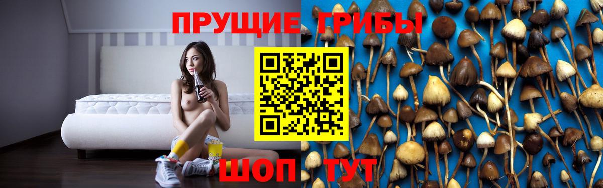 Большой Камень  Галлюциногенные грибы ЛСД  закладка  Вход с VPN 